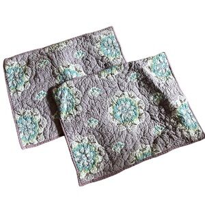 Pottery Barn Quilted Pillow‎ Shams